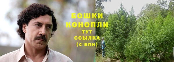 дурь Аркадак
